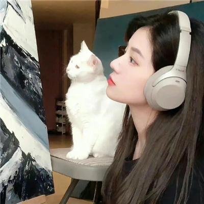 猎狐